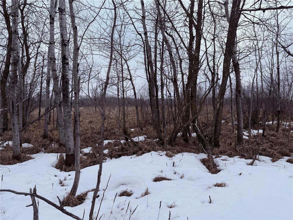 TBD-B 180th Street Borgholm Twp MN 56353 7029939 image41