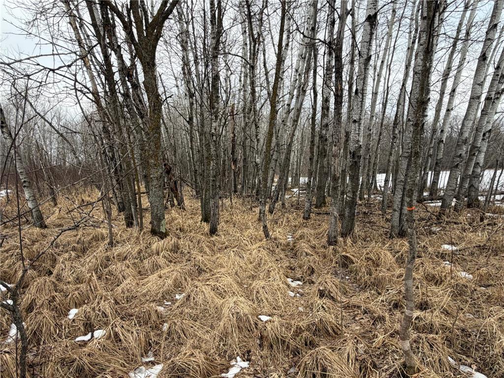 TBD-B 180th Street Borgholm Twp MN 56353 7029939 image43