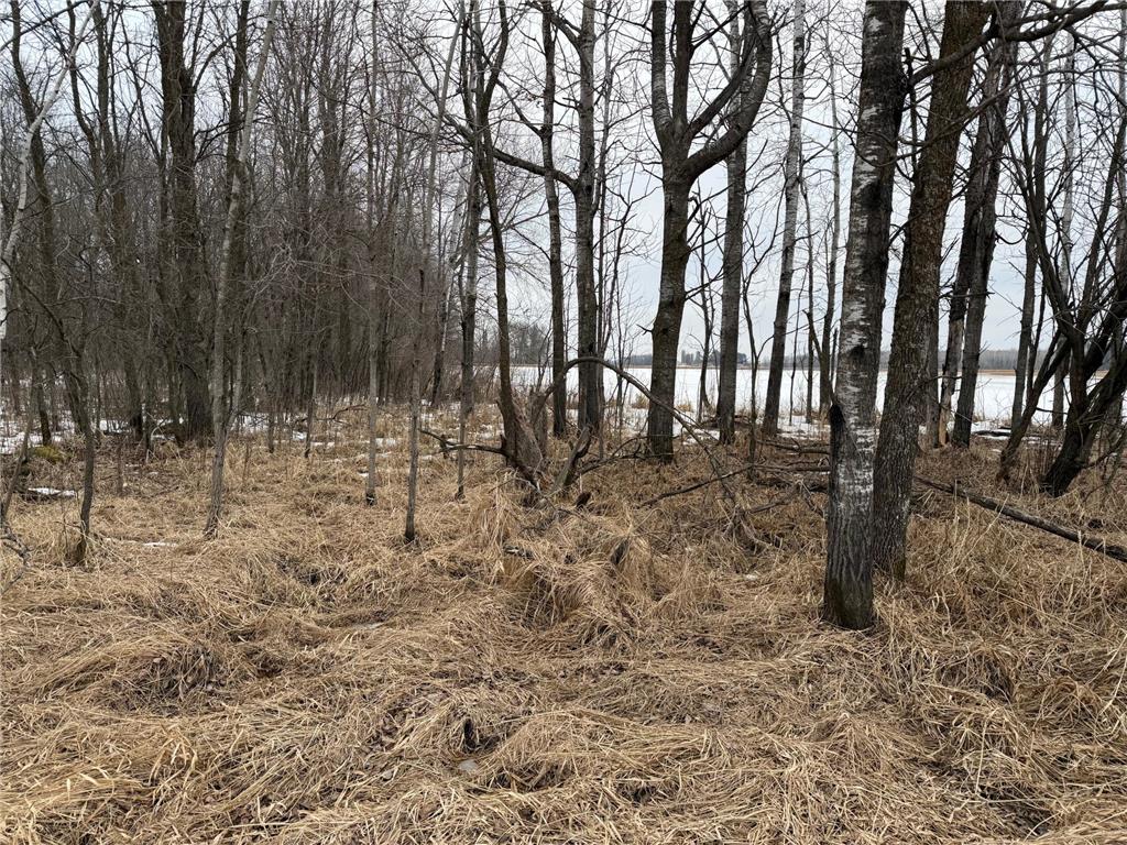 TBD-B 180th Street Borgholm Twp MN 56353 7029939 image44