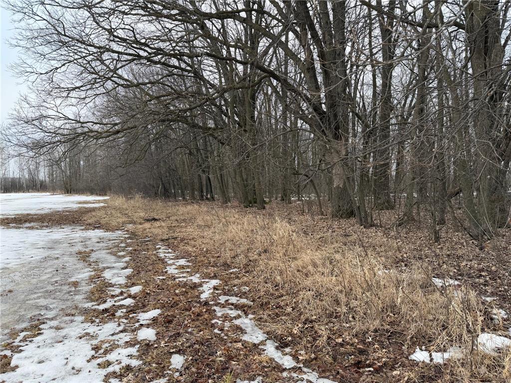 TBD-B 180th Street Borgholm Twp MN 56353 7029939 image45