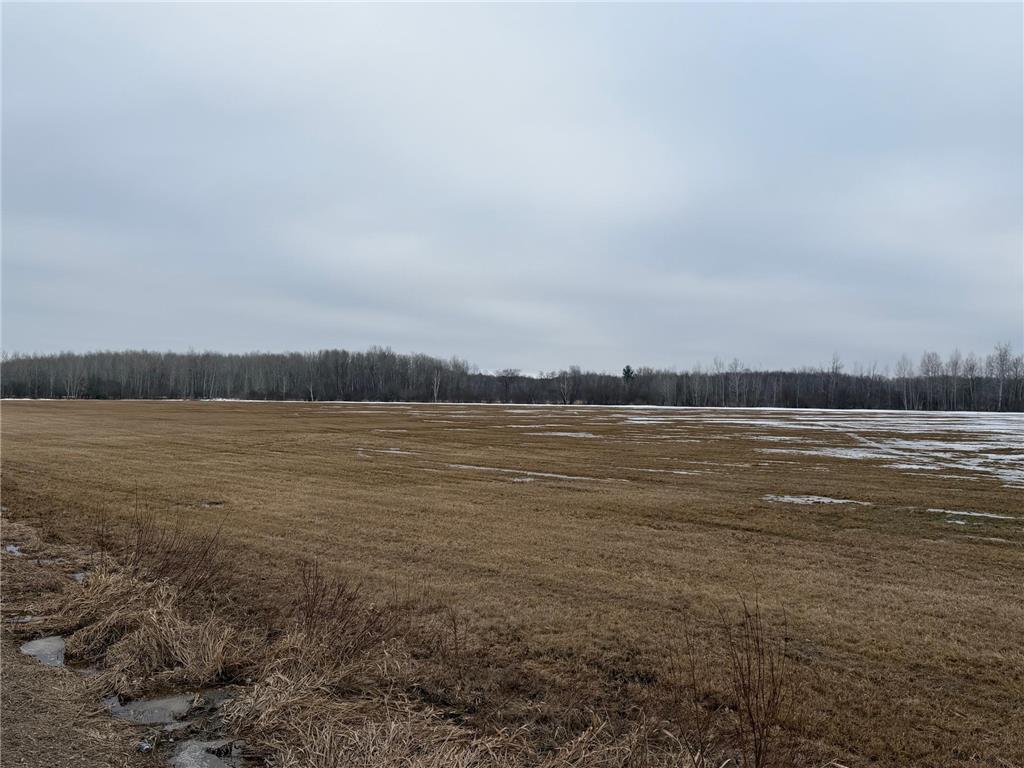 TBD-B 180th Street Borgholm Twp MN 56353 7029939 image5