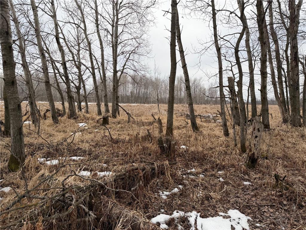 TBD-B 180th Street Borgholm Twp MN 56353 7029939 image56
