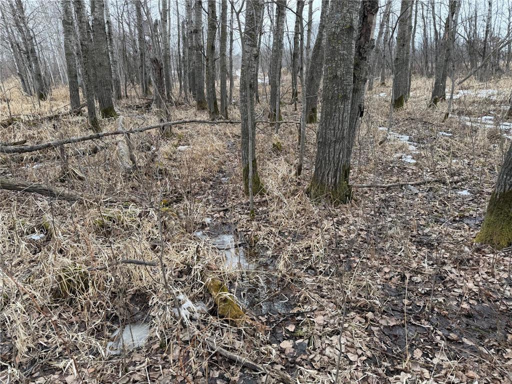 TBD-B 180th Street Borgholm Twp MN 56353 7029939 image57