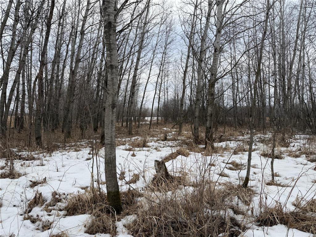 TBD-B 180th Street Borgholm Twp MN 56353 7029939 image6