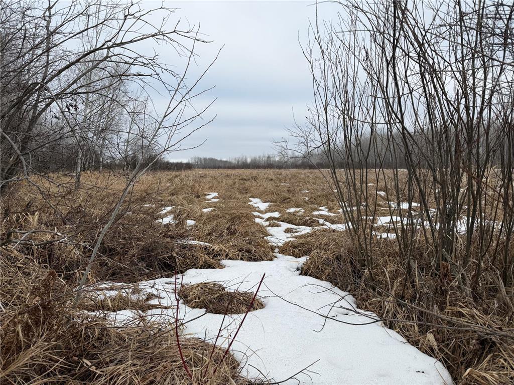 TBD-B 180th Street Borgholm Twp MN 56353 7029939 image7