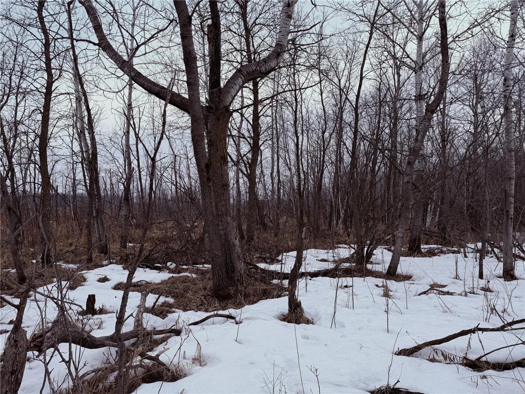 TBD-B 180th Street Borgholm Twp MN 56353 7029939 image70