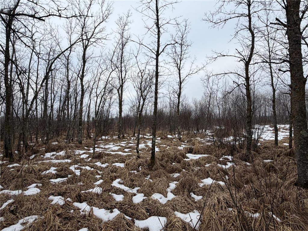 TBD-B 180th Street Borgholm Twp MN 56353 7029939 image72