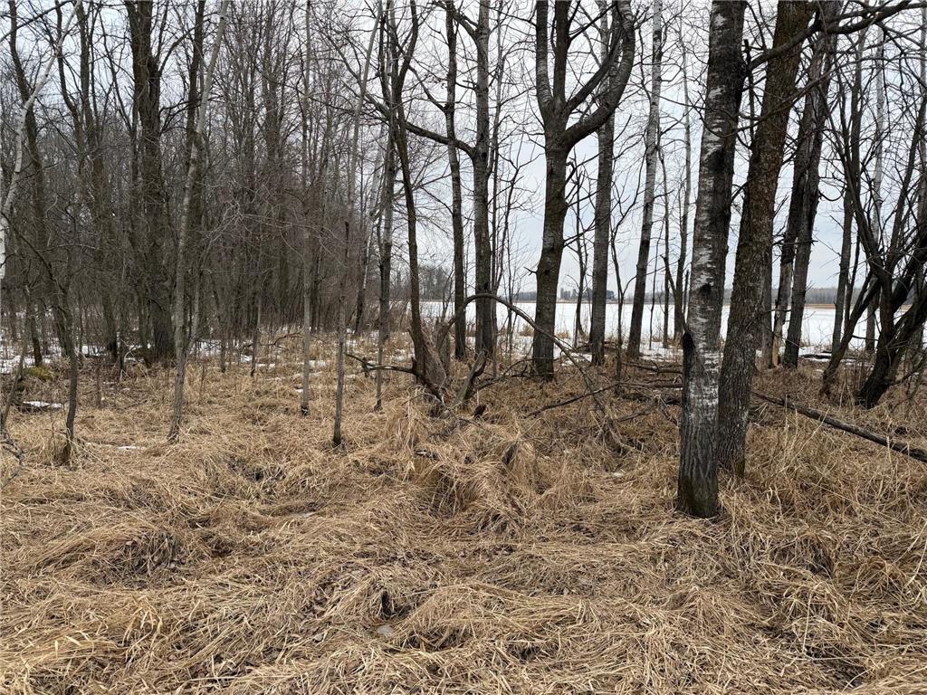 TBD-B 180th Street Borgholm Twp MN 56353 7029939 image74