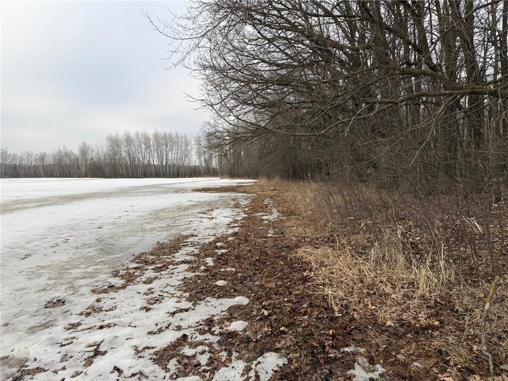 TBD-B 180th Street Borgholm Twp MN 56353 7029939 image8