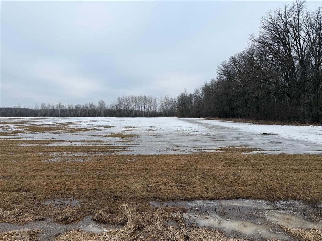 TBD-B 180th Street Borgholm Twp MN 56353 7029939 image9