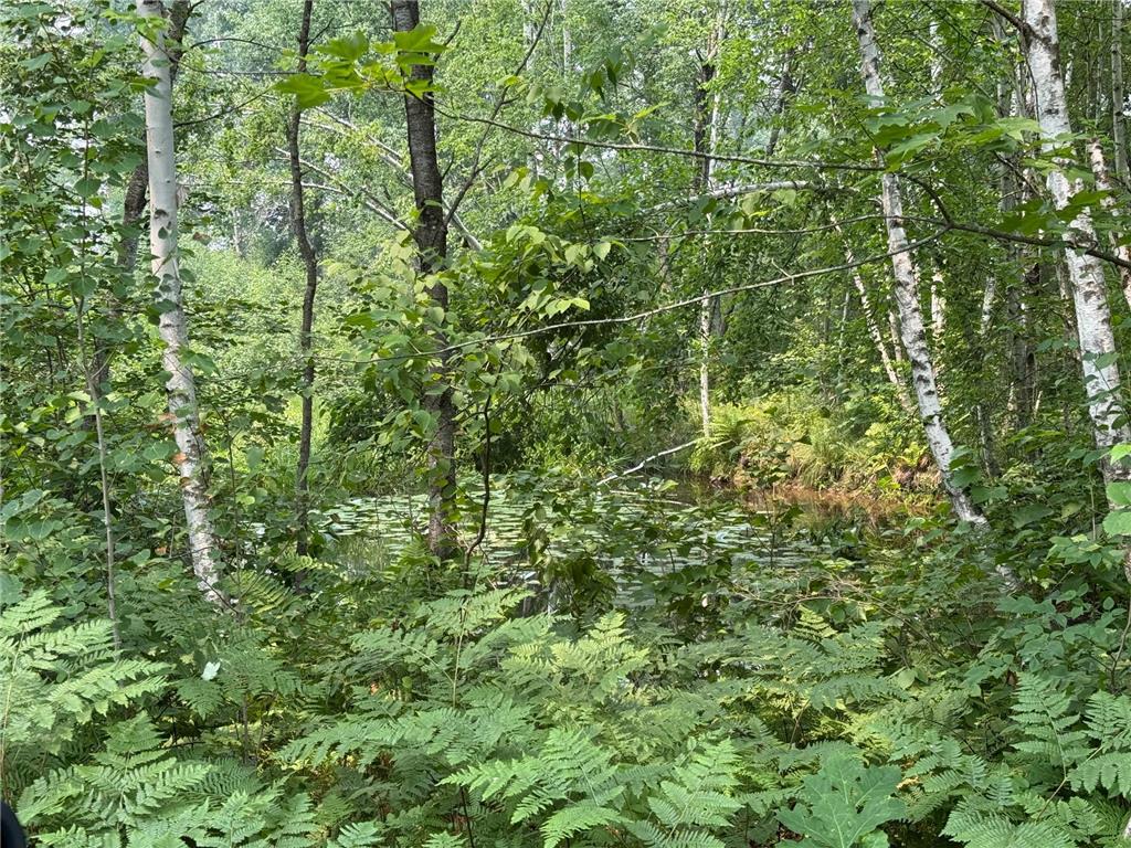 TBD BB Mann Road Spooner WI 54801 - Spooner 7102488 image20