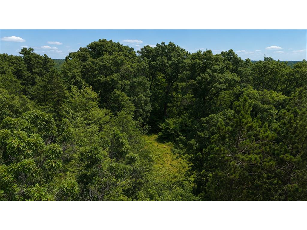 TBD BB Mann Road Spooner WI 54801 - Spooner 7102488 image4