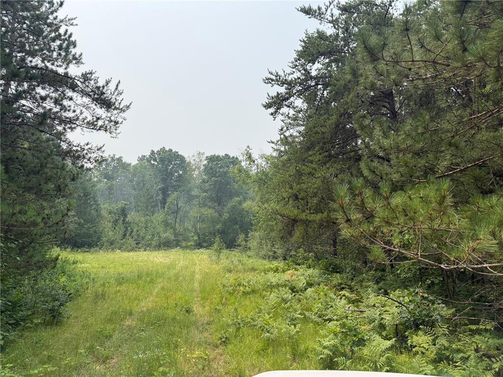 TBD BB Mann Road Spooner WI 54801 - Spooner 7102488 image5