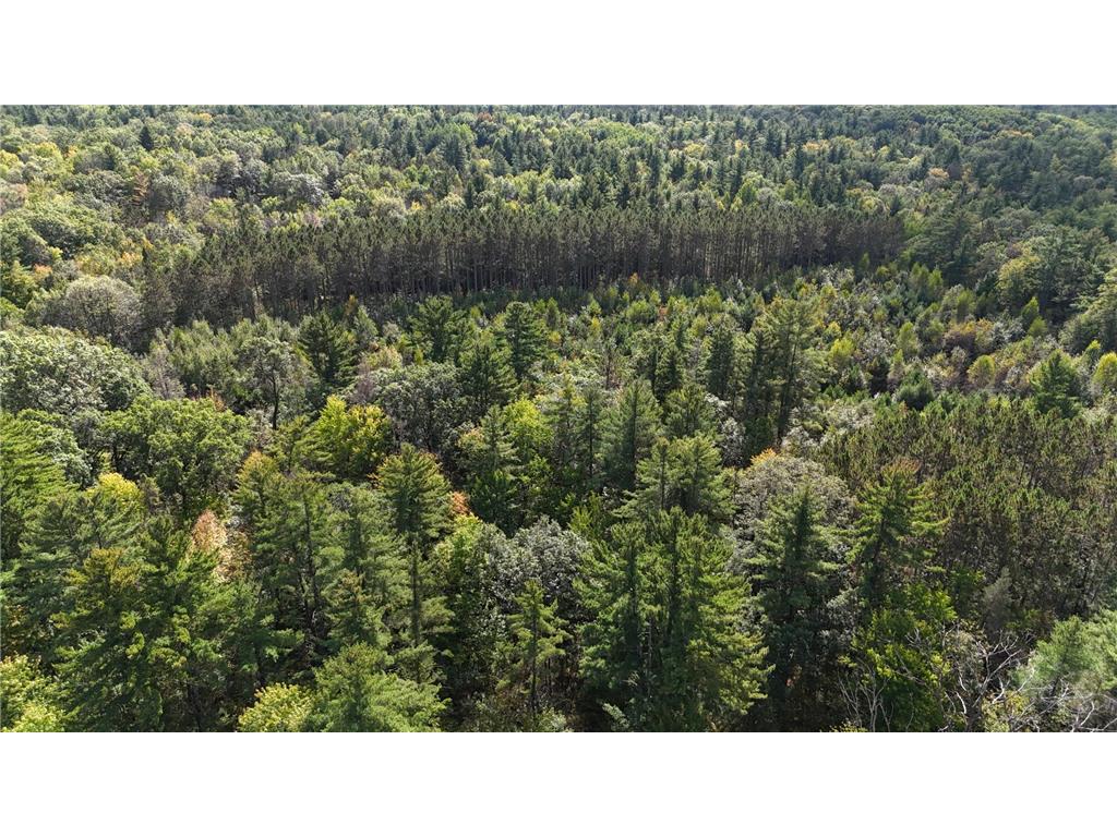 TBD BEAN BROOK LN Bass Lake WI 54876 6799384 image10