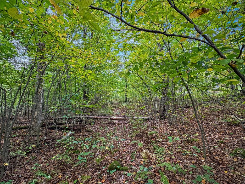 TBD BEAN BROOK LN Bass Lake WI 54876 6799384 image11