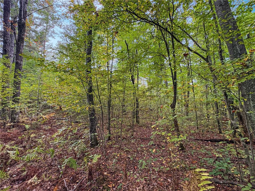 TBD BEAN BROOK LN Bass Lake WI 54876 6799384 image12