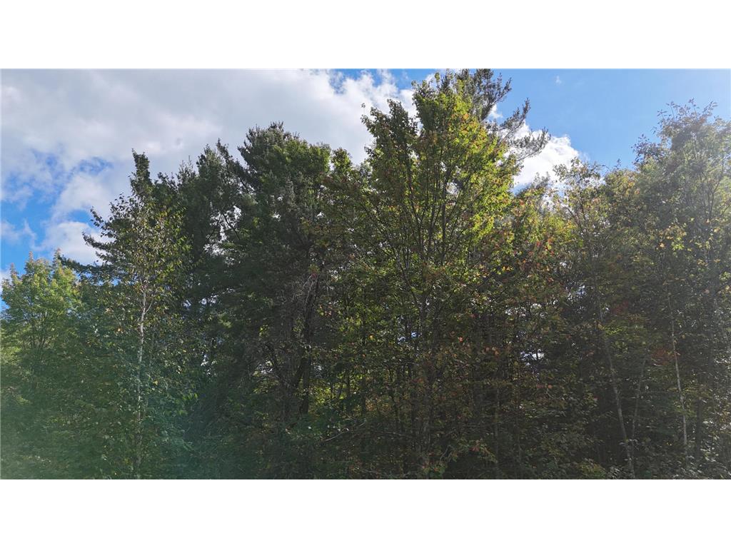 TBD BEAN BROOK LN Bass Lake WI 54876 6799384 image15