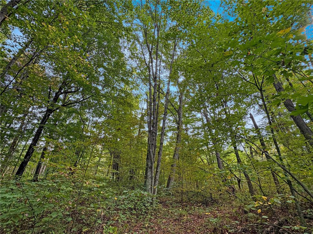 TBD BEAN BROOK LN Bass Lake WI 54876 6799384 image17