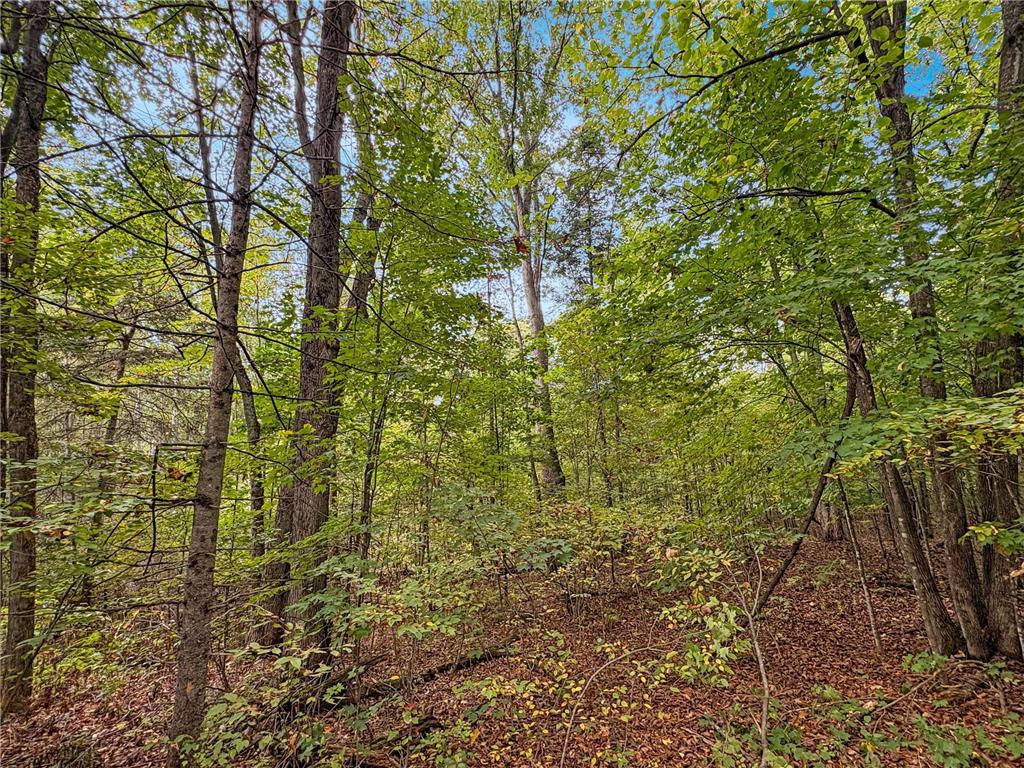 TBD BEAN BROOK LN Bass Lake WI 54876 6799384 image4