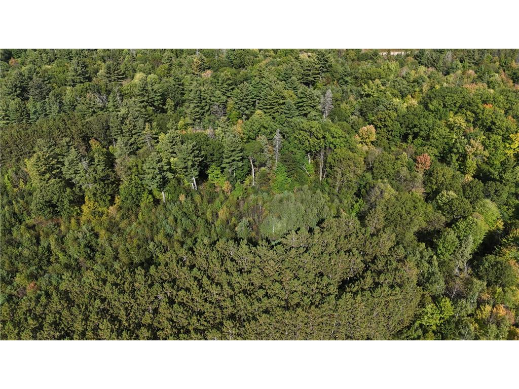 TBD BEAN BROOK LN Bass Lake WI 54876 6799384 image7