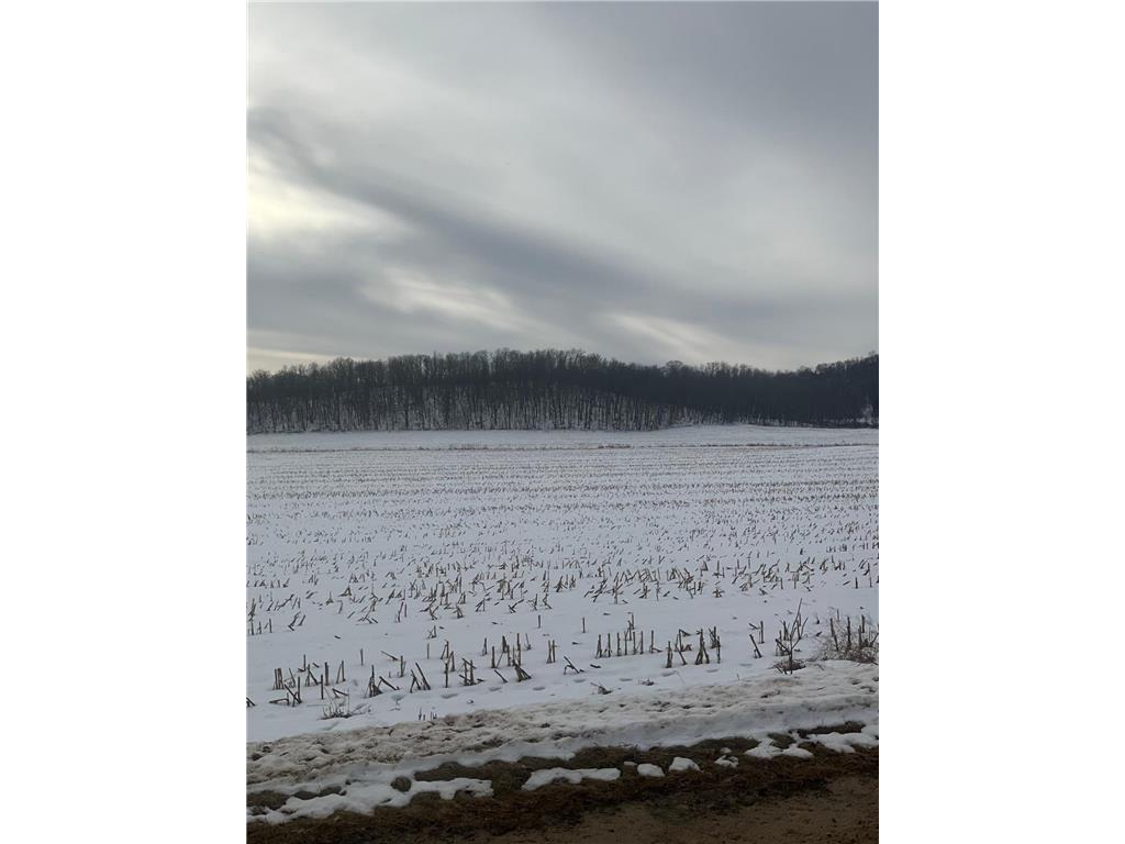 TBD Back Valley Road Pepin WI 54759 7006489 image1