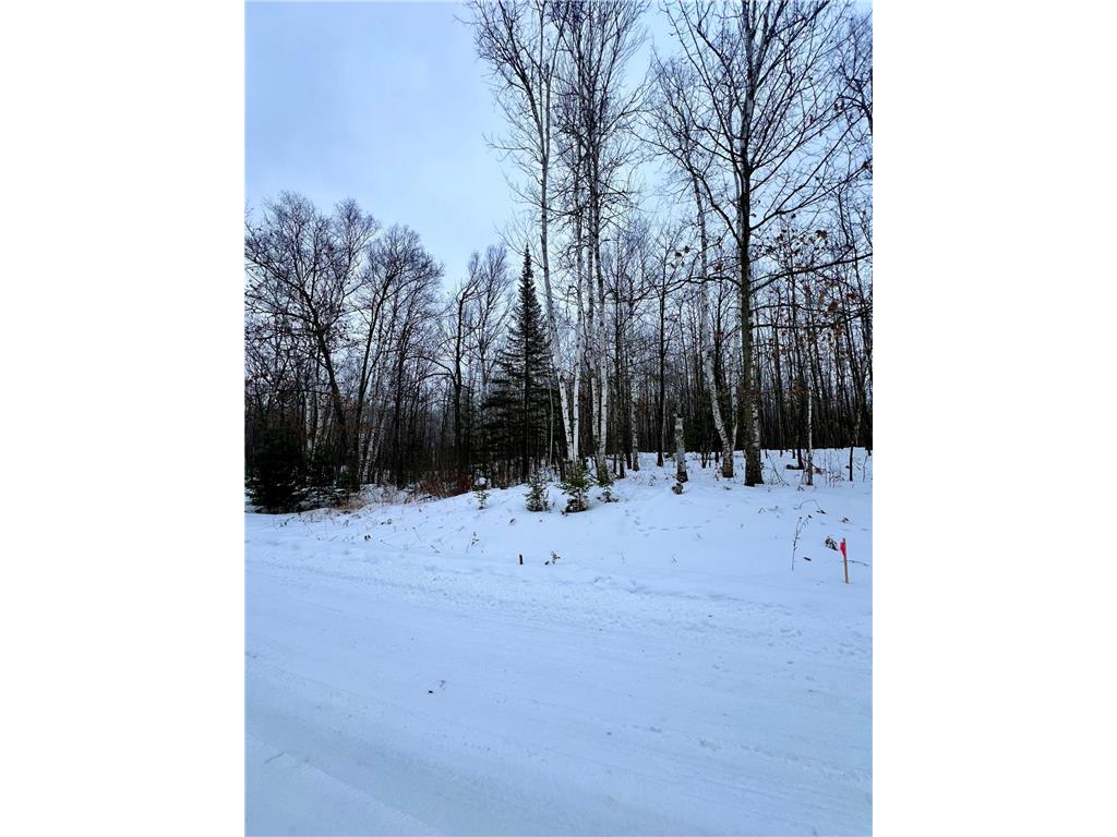 TBD Baich Dr Trout Lake Twp MN 55722 7008057 image12