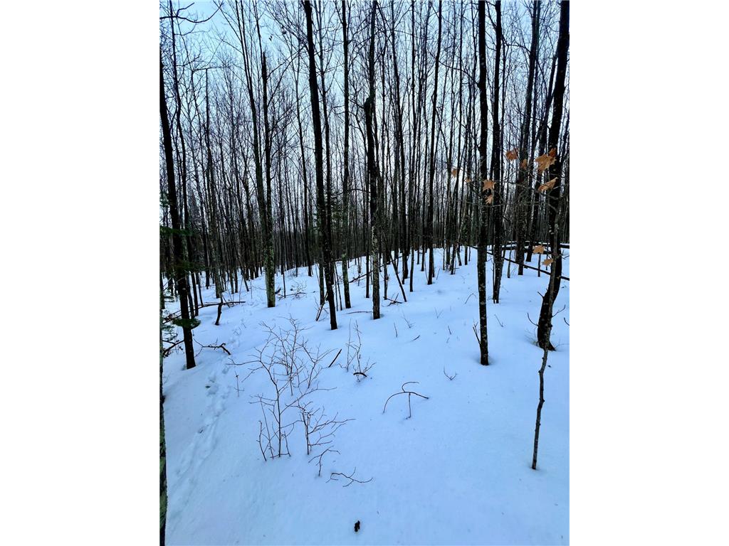 TBD Baich Dr Trout Lake Twp MN 55722 7008057 image14