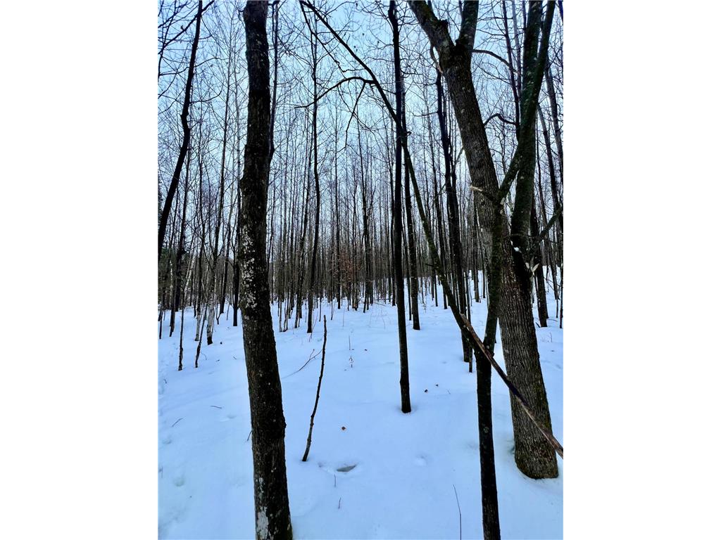 TBD Baich Dr Trout Lake Twp MN 55722 7008057 image15