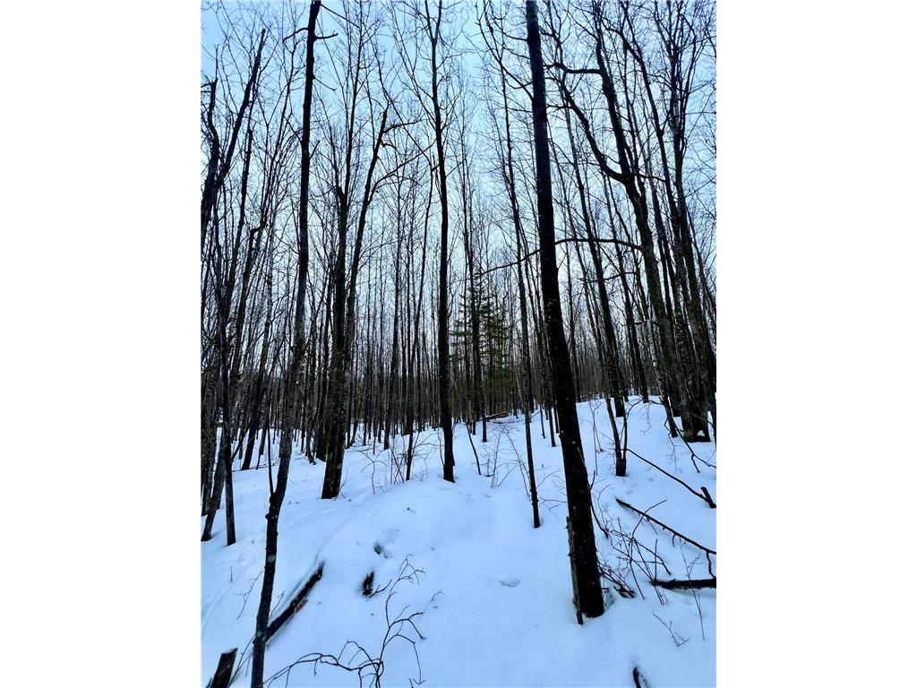 TBD Baich Dr Trout Lake Twp MN 55722 7008057 image16