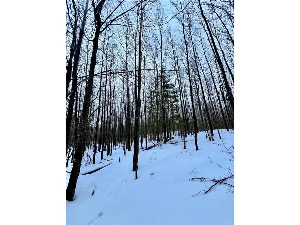 TBD Baich Dr Trout Lake Twp MN 55722 7008057 image17