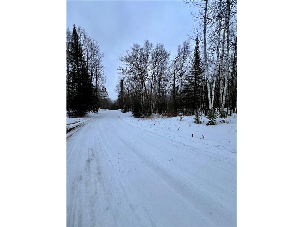 TBD Baich Dr Trout Lake Twp MN 55722 7008057 image3