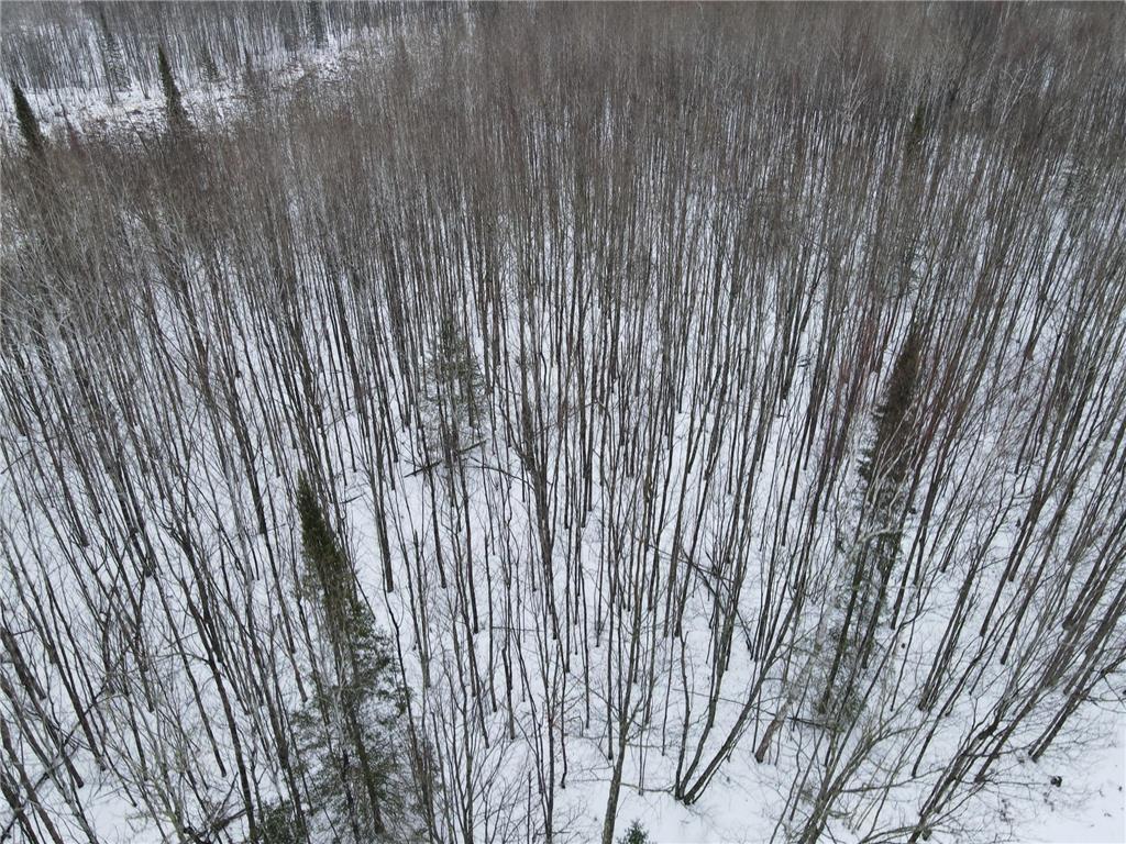 TBD Baich Dr Trout Lake Twp MN 55722 7008057 image4