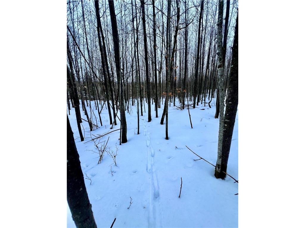 TBD Baich Dr Trout Lake Twp MN 55722 7008057 image6