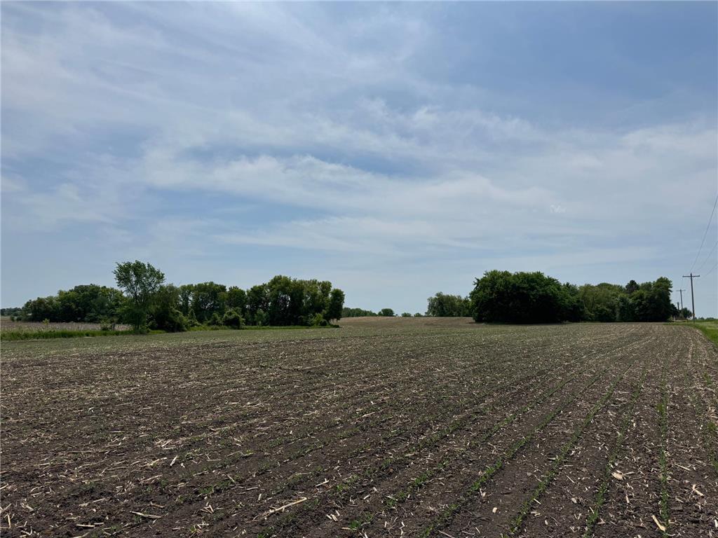 TBD Baker Avenue NW Buffalo MN 55313 7060277 image19