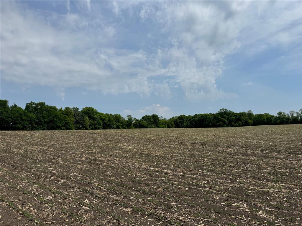 TBD Baker Avenue NW Buffalo MN 55313 7060277 image21
