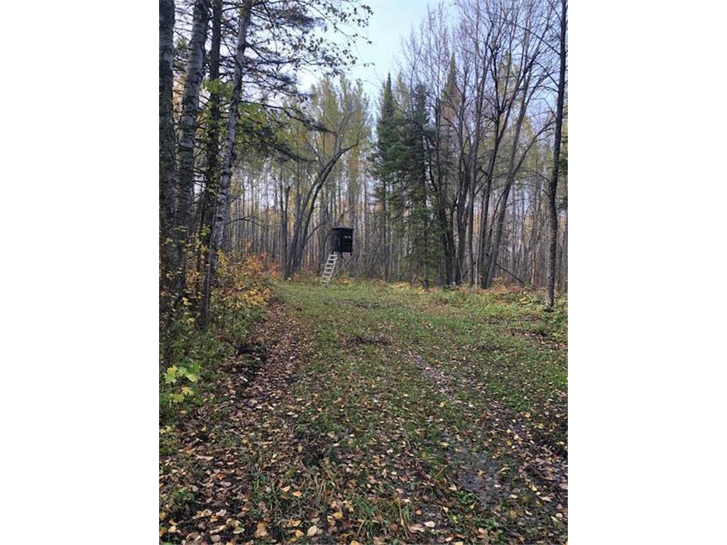 TBD Baker Road Blackduck MN 56630 6450568 image1