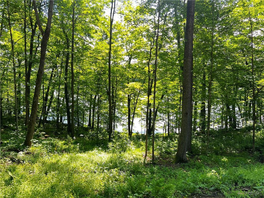 TBD Balsam Drive Birchwood WI 54817 - Balsam Lake 7031475 image18