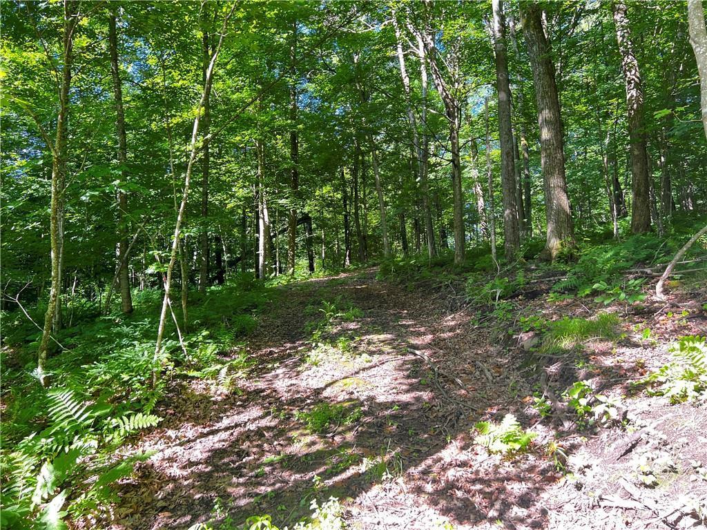 TBD Balsam Drive Birchwood WI 54817 - Balsam Lake 7031475 image23