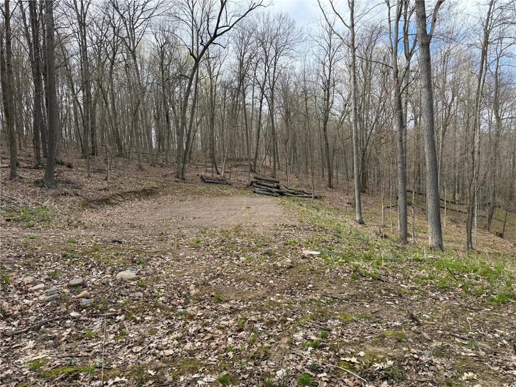 TBD Balsam Drive Birchwood WI 54817 - Balsam Lake 7031475 image27