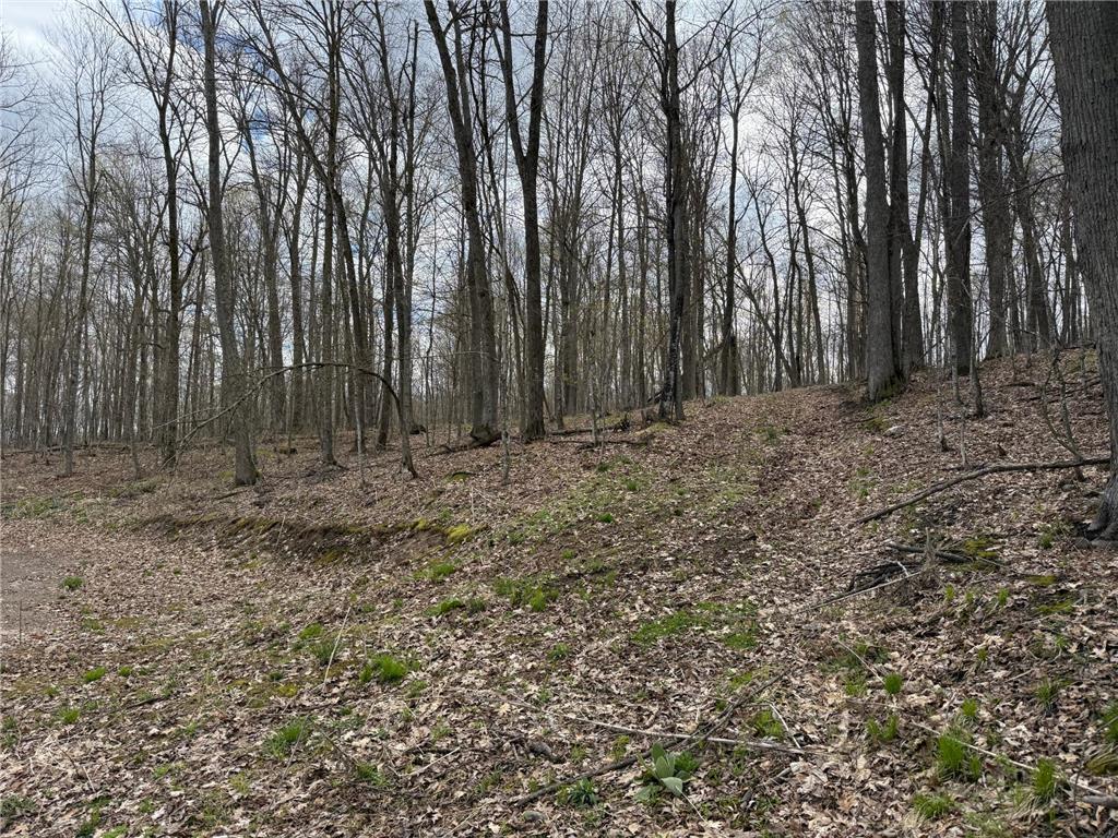 TBD Balsam Drive Birchwood WI 54817 - Balsam Lake 7031475 image28