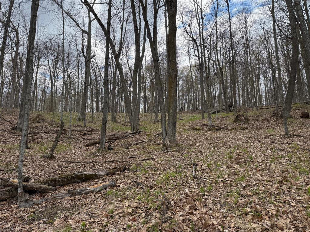 TBD Balsam Drive Birchwood WI 54817 - Balsam Lake 7031475 image30
