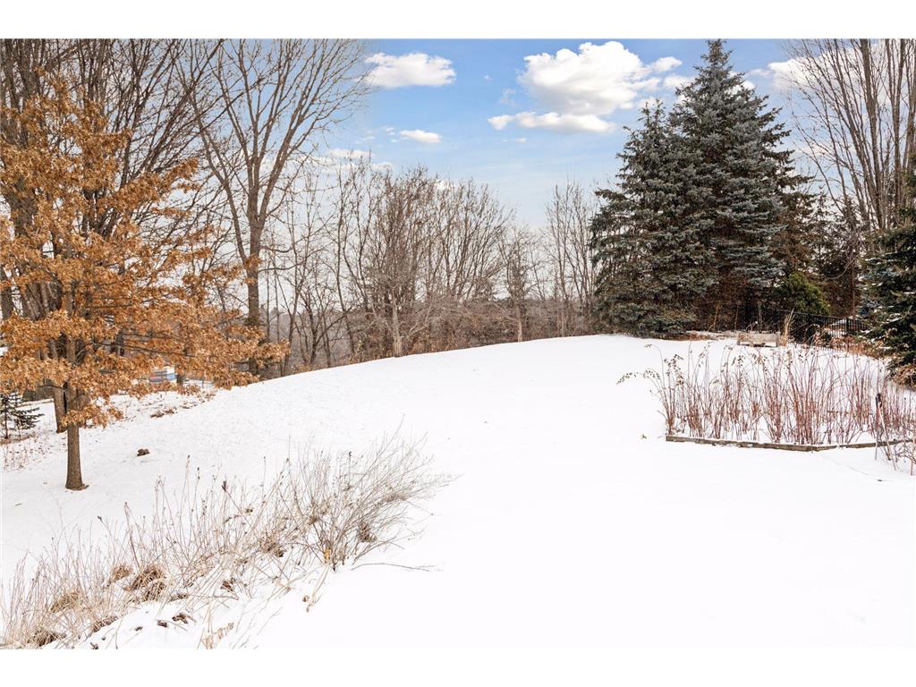 TBD Barbara Court Mendota Heights MN 55118 7019958 image1