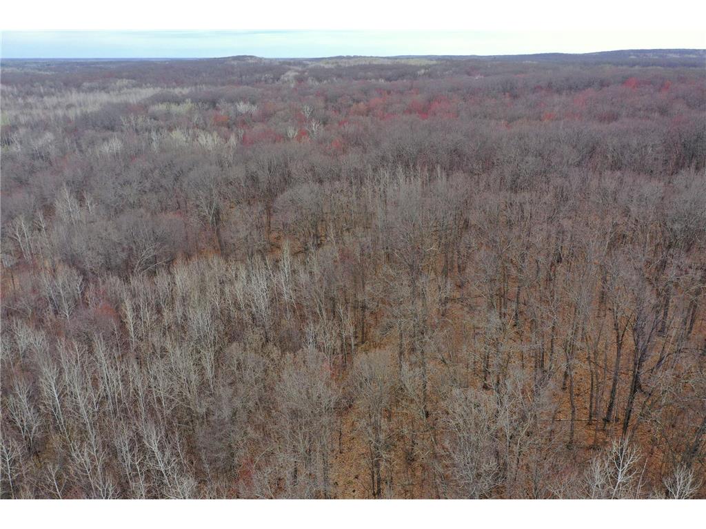 TBD Barrett Trail Trego WI 54888 7062573 image10
