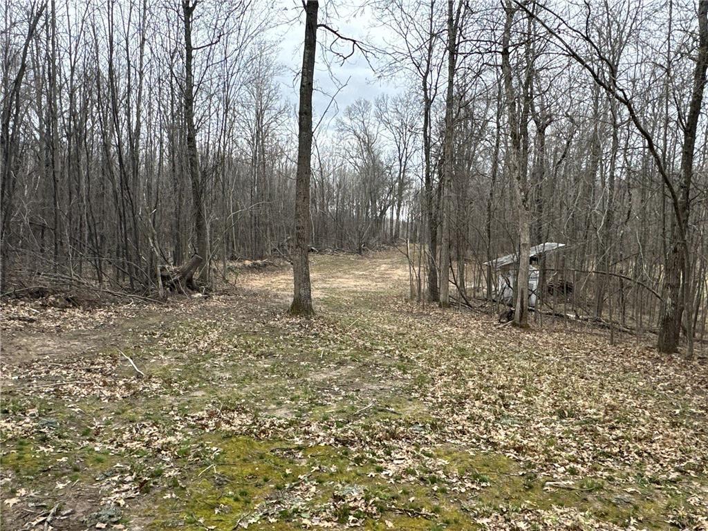 TBD Barrett Trail Trego WI 54888 7062573 image12
