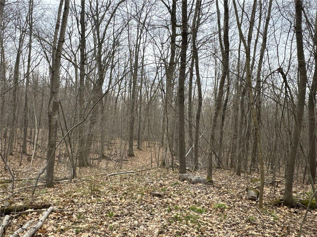 TBD Barrett Trail Trego WI 54888 7062573 image13