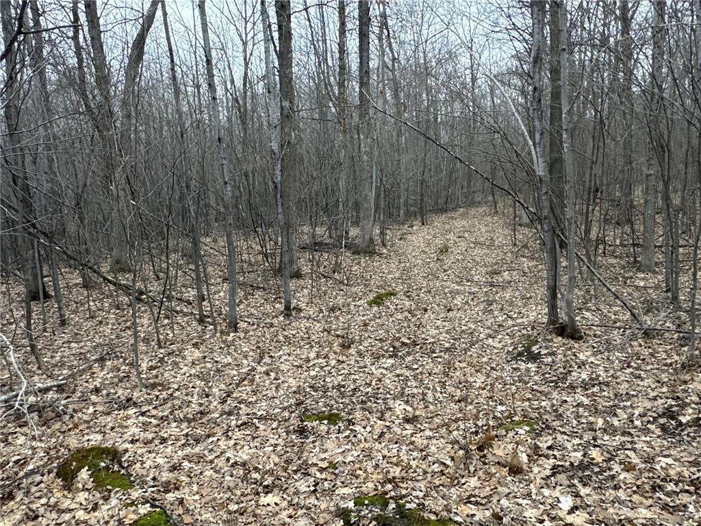 TBD Barrett Trail Trego WI 54888 7062573 image14