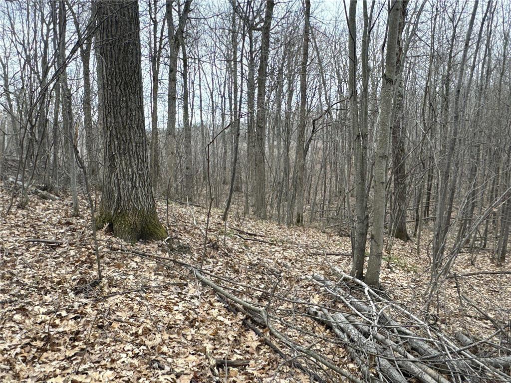 TBD Barrett Trail Trego WI 54888 7062573 image15