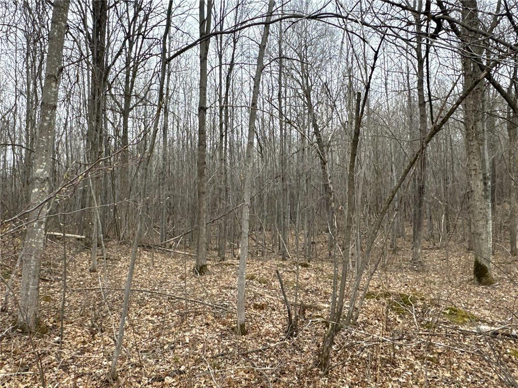 TBD Barrett Trail Trego WI 54888 7062573 image16