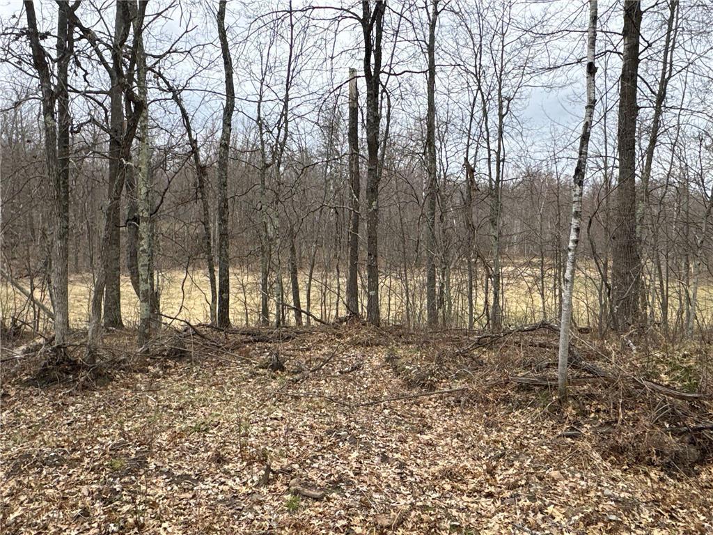 TBD Barrett Trail Trego WI 54888 7062573 image20