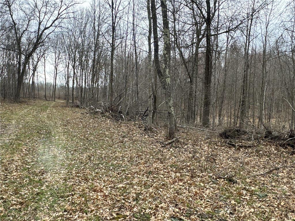 TBD Barrett Trail Trego WI 54888 7062573 image21